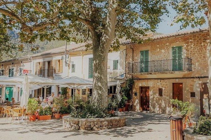 Valdemossa Half Day Tour - Introduction