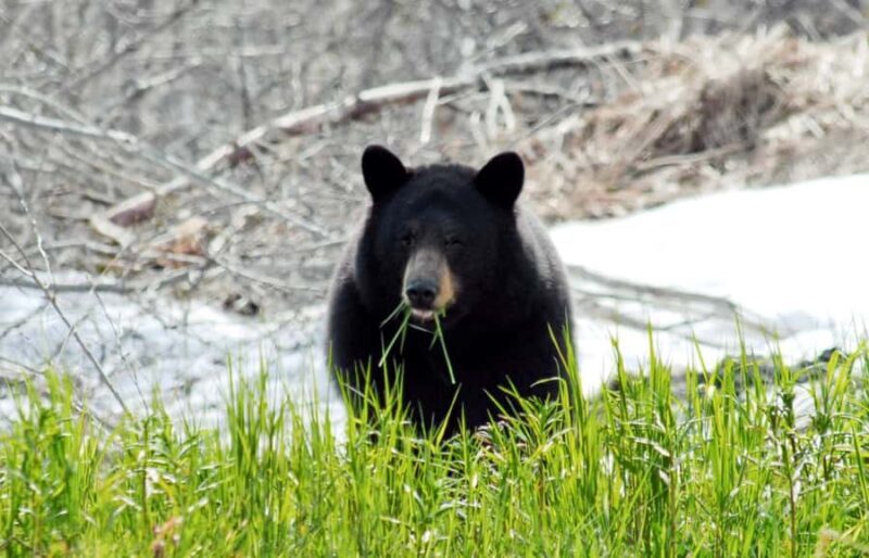 Valdez: Duck Flats Sea Kayak Tour - How the Tour Is Structured