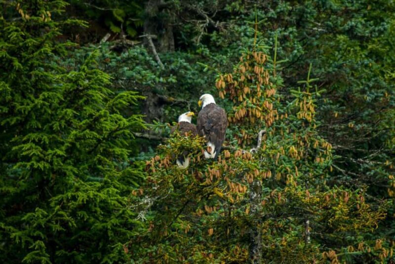 Valdez: Duck Flats Sea Kayak Tour - FAQ