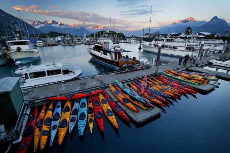 Valdez: Gold Creek Coastal Journey Kayak Tour - Final Thoughts