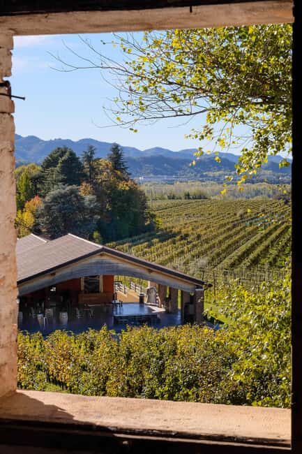 Valdobbiadene: Bike rental and Prosecco tasting - Key Points