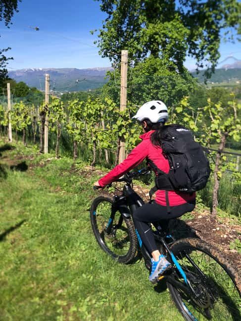 Valdobbiadene: Bike rental and Prosecco tasting - What to Expect from Your Prosecco Hills Ride