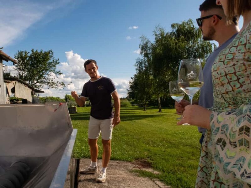 Valdobbiadene - Check out the winery and taste the Superiori DOCG wines - Valdobbiadene - Check out the winery and taste the Superiori DOCG wines