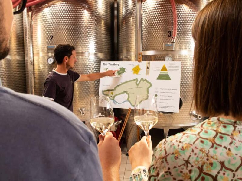 Valdobbiadene - Check out the winery and taste the Superiori DOCG wines - Key Points