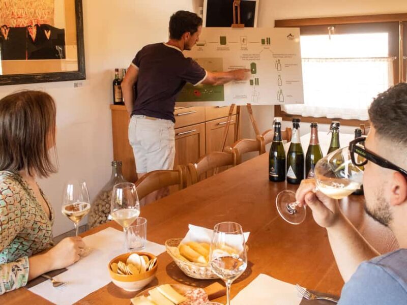 Valdobbiadene - Check out the winery and taste the Superiori DOCG wines - Who Should Consider This Tour?