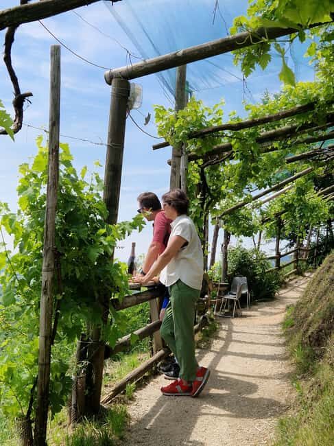 Valdobbiadene: Prosecco Express wine tasting and e-bike tour - Key Points