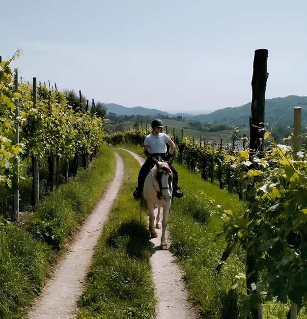 Valdobbiadene: Prosecco Hills Horseback Ride with Aperitif - Key Points