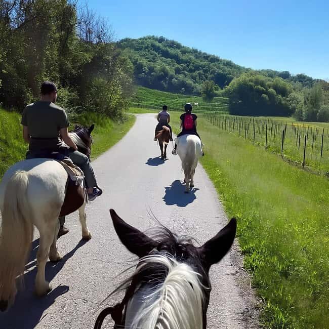 Valdobbiadene: Prosecco Hills Horseback Ride with Aperitif - FAQ