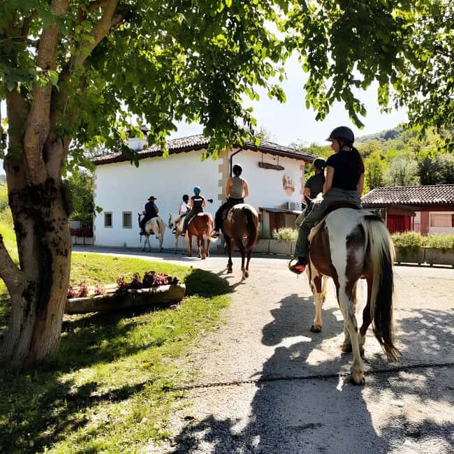 Valdobbiadene: Prosecco Hills Horseback Riding Tour - The Practical Side
