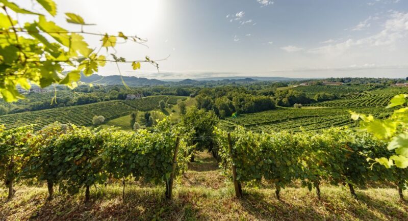 Valdobbiadene: Prosecco Tasting Experience - Final Thoughts