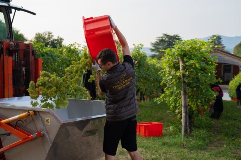 Valdobbiadene: Prosecco Tasting Experience - FAQs