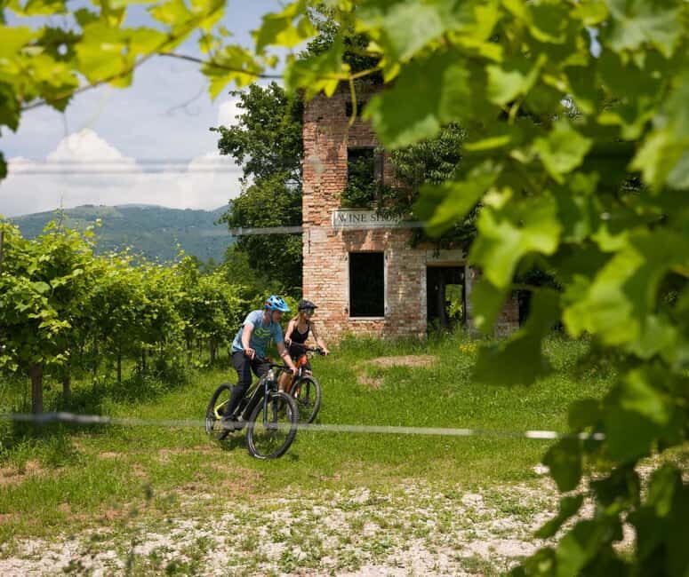 Valdobbiadene: self-guided e-bike tour in the Prosecco Hills - What to Expect From the Experience