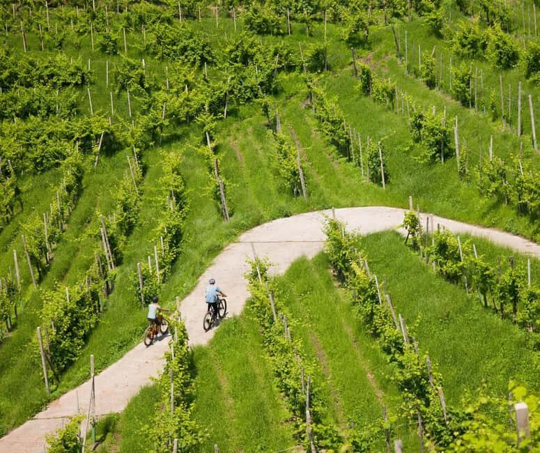 Valdobbiadene: self-guided e-bike tour in the Prosecco Hills - Final Thoughts