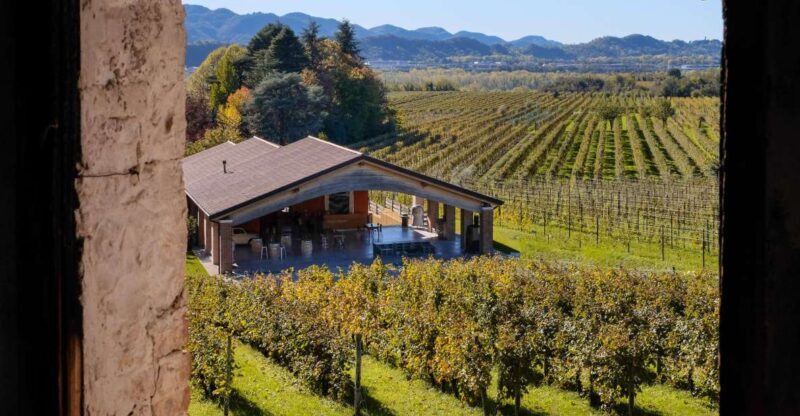 Valdobbiadene: Winery Tour with Wine and Food Tasting - What to Expect from the Winery Tour