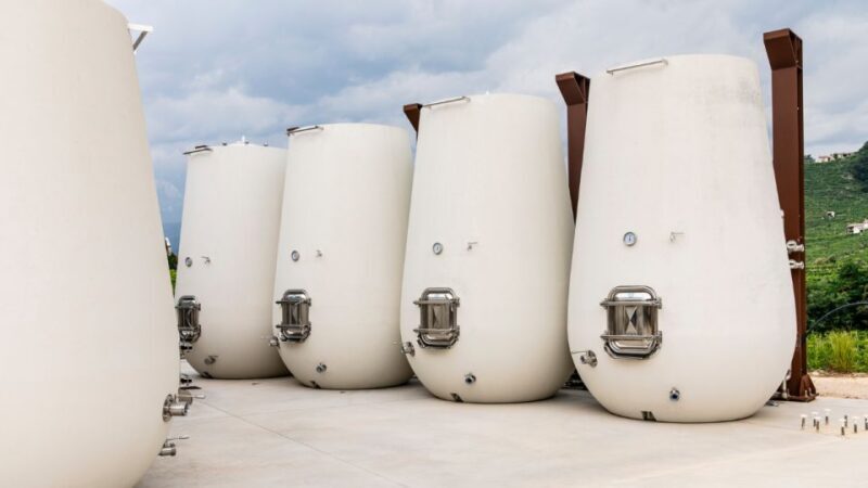 Valdobbiadene:Prosecco tasting,appetizers,winery & vineyard - The Value of the Experience