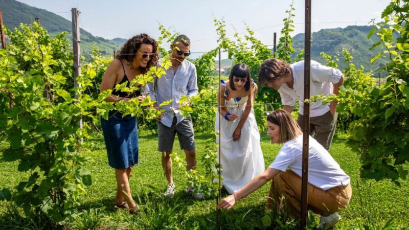 Valdobbiadene:Prosecco tasting,appetizers,winery & vineyard - Frequently Asked Questions