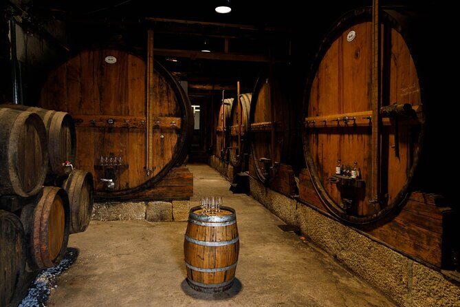 VALE DOURO: Premium Wine, Lunch Wine & Private Boat Tour - Final Thoughts