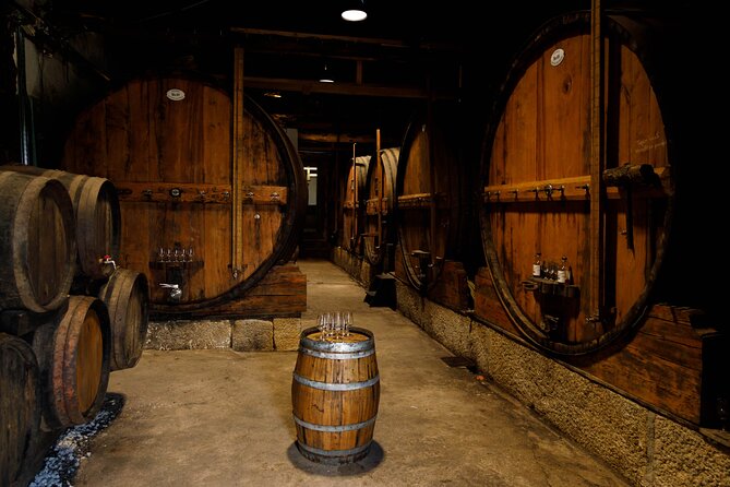 VALE DOURO, Premium Wine Tour, Wine Lunch, Private Boat - Rio Douro Cruise: A Guided Taster Before the Main Wine Stops