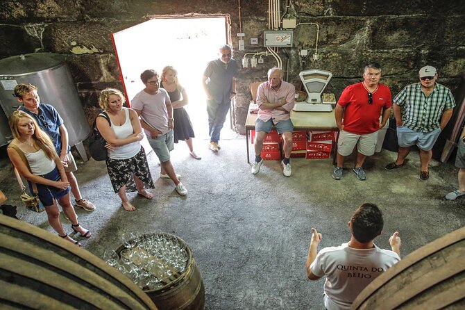 VALE DOURO, Premium Wine Tour, Wine Lunch, Private Boat - Lunch on a Farm With a Cellar Visit: The Best Kind of Long Meal