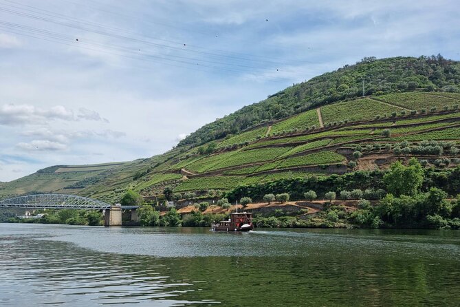 VALE DOURO, Premium Wine Tour, Wine Lunch, Private Boat - The N222 Road Stops: Scenic Road Time Done Right