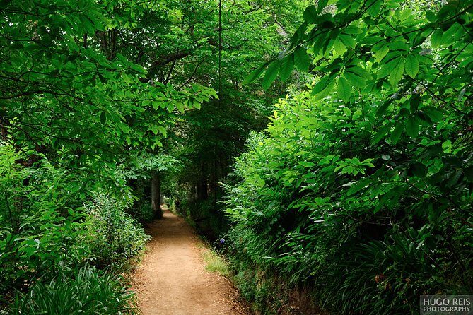 Vale Paraiso - Paradise Valley Walk - Exploring the Vale Paraiso - Paradise Valley Walk: A Gentle Dive Into Madeira’s Beauty