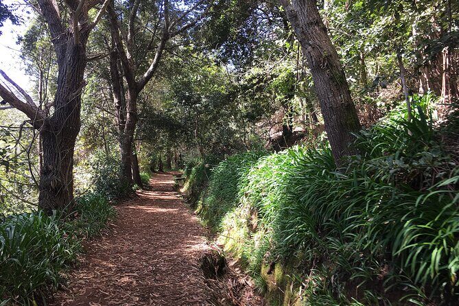 Vale Paraiso - Paradise Valley Walk - The Itinerary: What You Can Expect