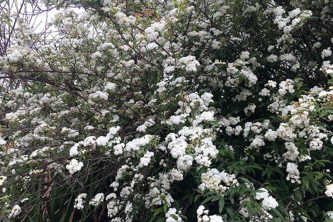 Vale Paraiso - Paradise Valley Walk - Practical Details and What to Keep in Mind