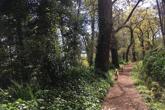 Vale Paraiso - Paradise Valley Walk - Who is This Tour Best For?