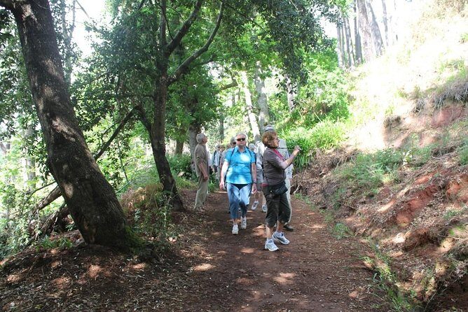 Vale Paraíso - Rochão (Half Day Walk) - Exploring Madeira’s Hidden Green Corners with the Vale Paraíso - Rochão Half-Day Walk