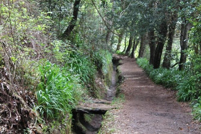 Vale Paraíso - Rochão (Half Day Walk) - Who Will Love This Tour?
