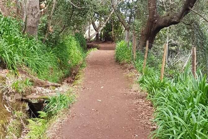 Vale Paraíso - Rochão (Half Day Walk) - Final Thoughts