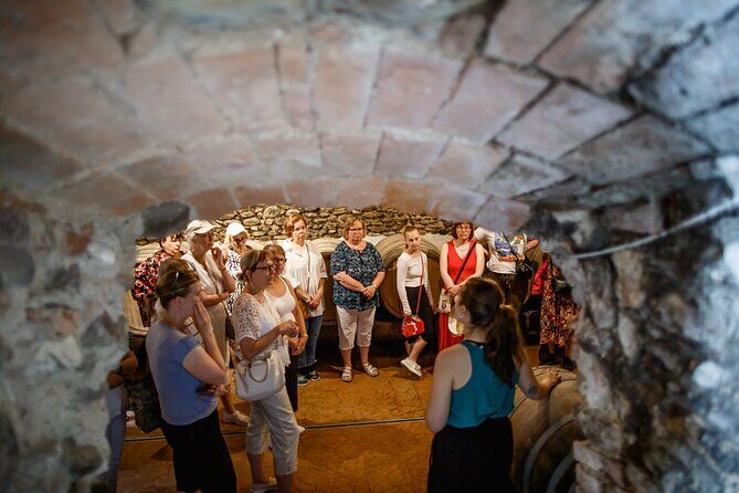 Valeggio: Sorsi dEstate, 3 young wines with guided tour - Exploring the Valeggio: Sorsi dEstate Wine Tour – A Genuine Taste of Italy