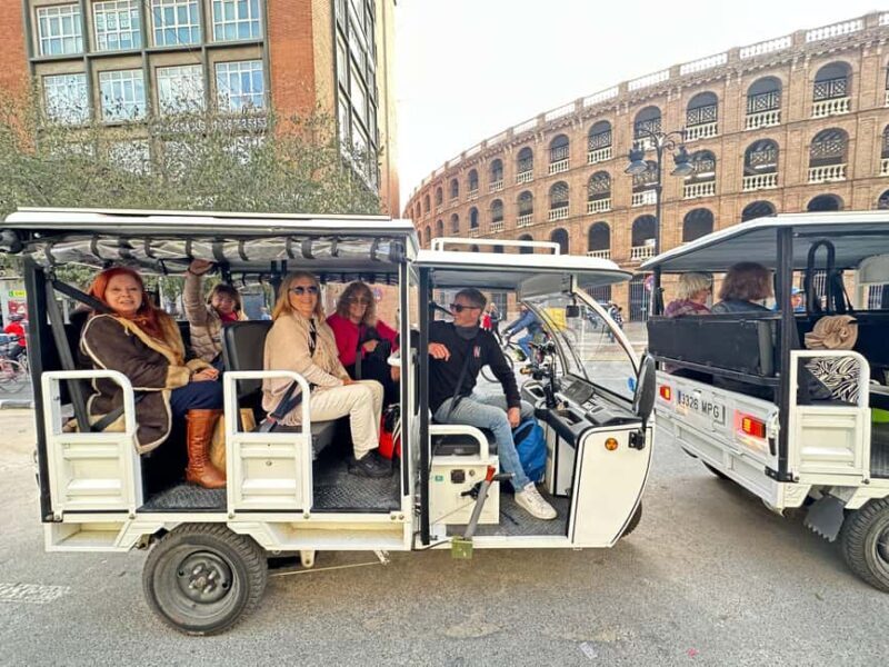 Valencia: 1-hour Historical Tour in a Tuk Tuk - Price and Value