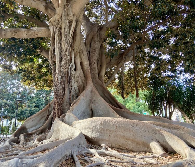Valencia: 2-in-1 Biking and Walking Audio-Guided Route - Who Is This Experience Best Suited For?