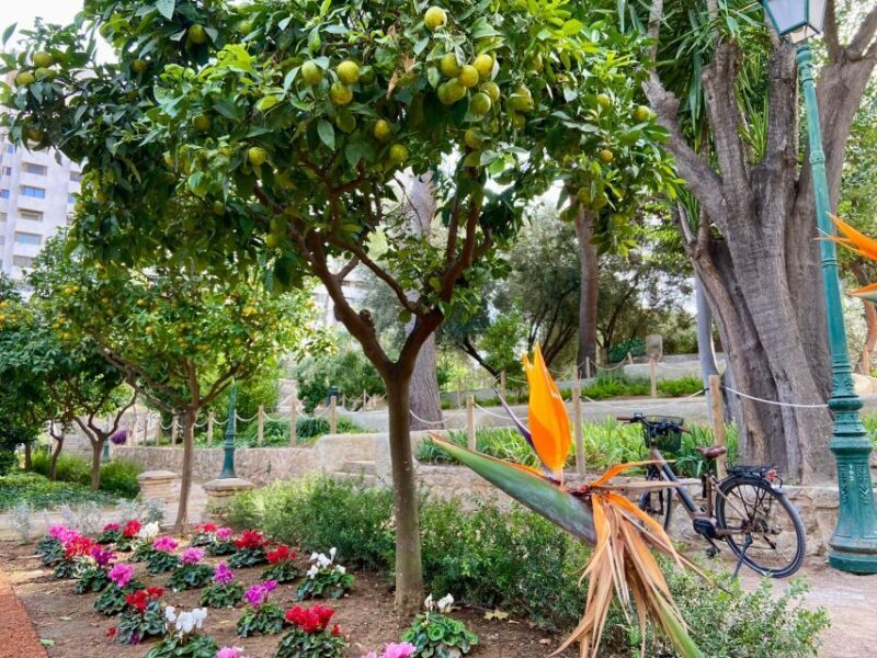 Valencia: 2-in-1 Biking and Walking Audio-Guided Route - Final Thoughts