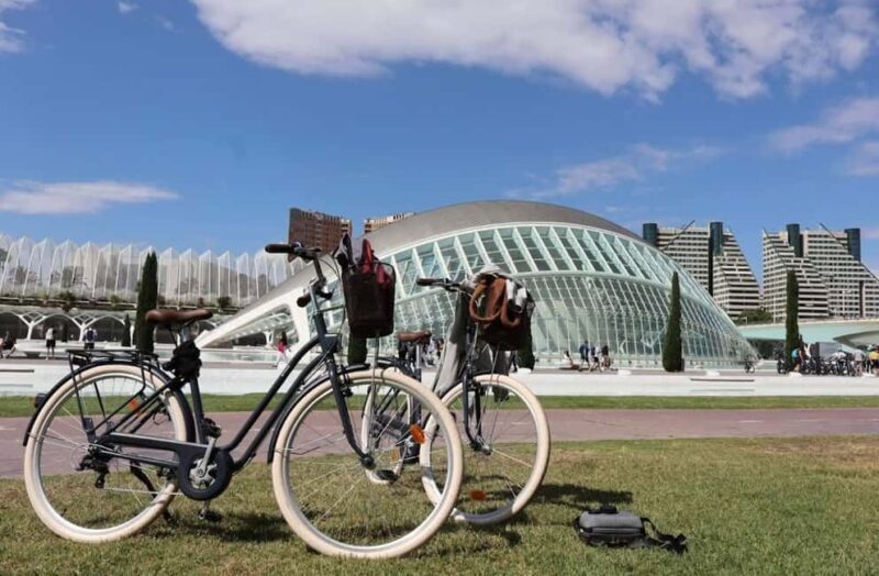 Valencia: 24-Hour Bike Rental - Key Points