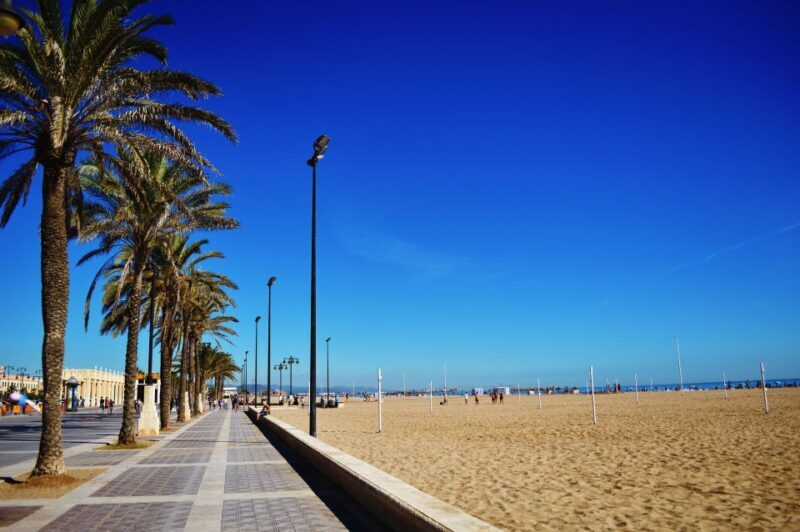 Valencia: 3-Hour Guided City Sightseeing & Beaches Bike Tour - Key Points