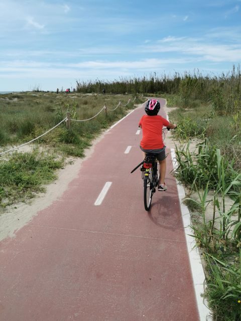 Valencia: Albufera Natural Park Bike and Boat Tour - What We Think