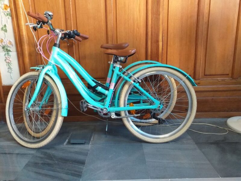 Valencia: Bike Rental for 1 to 4 Days - Valencia: Bike Rental for 1 to 4 Days – A Practical Guide