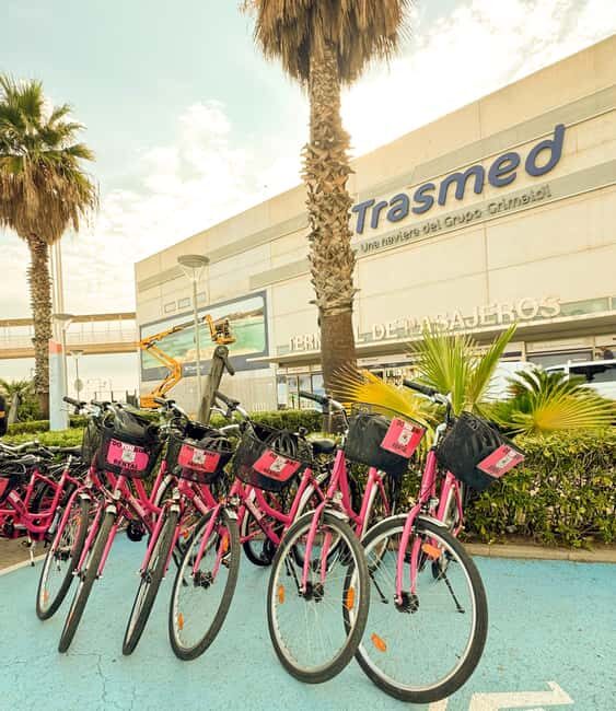 Valencia: Bike Tour and Tapas for Cruise Passenger - Exploring Valencia on Two Wheels