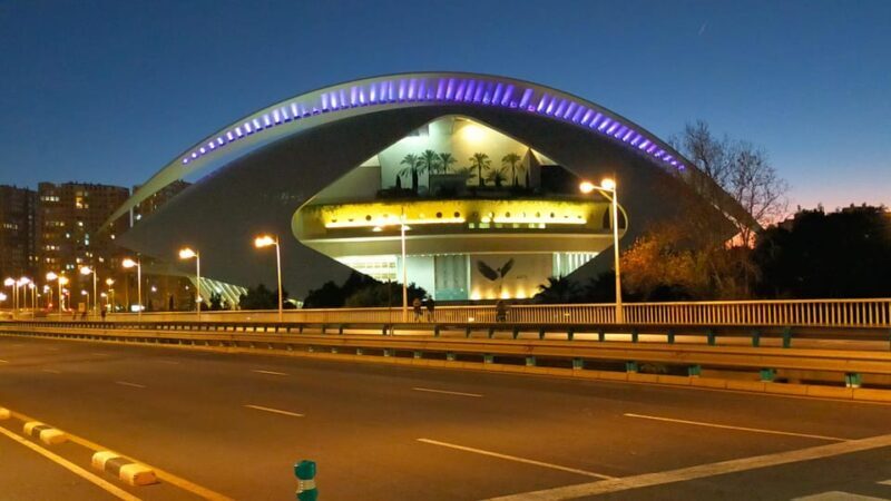 Valencia, Biketour of all the city with a local guide - Exploring Valencia by Bike: What to Expect