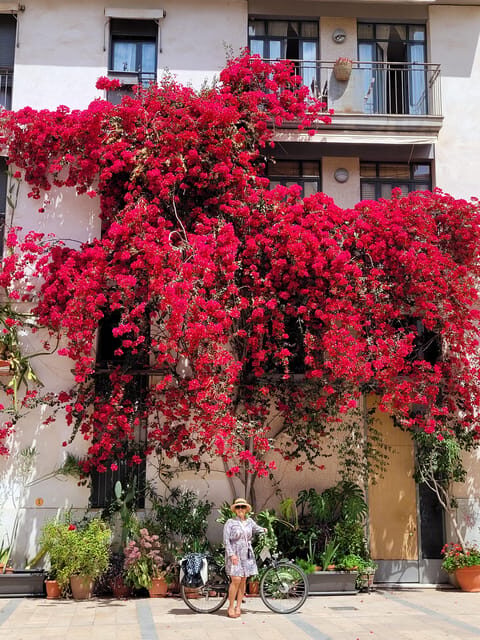 Valencia, Biketour of all the city with a local guide - Final Thoughts