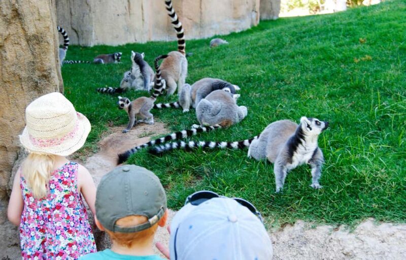 Valencia: Bioparc Valencia Admission Ticket - How the Parks Are Divided