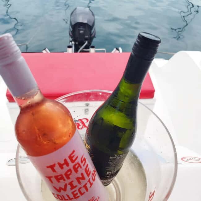 Valencia: Boat experience with typical wine tasting - Practical Tips for Your Cruise