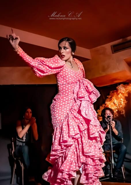 Valencia: Flamenco Show at Tablao La Reina - Final Thoughts