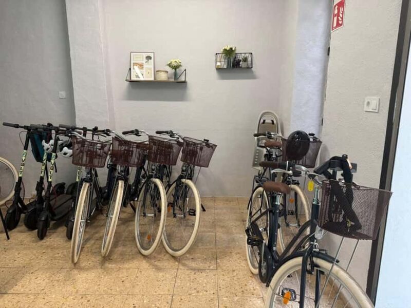 Valencia: Full-Day Bike Rental (9:30AM - 20:00PM) - Personal Experiences and Feedback