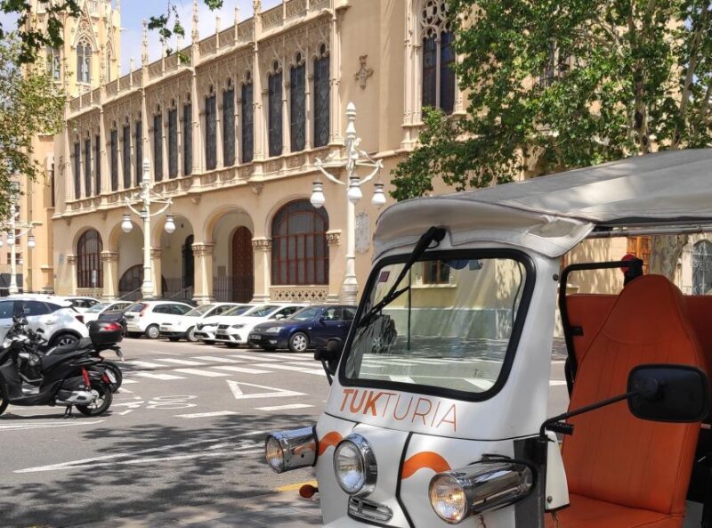 Valencia: Historical Tuk Tuk Tour (1h) - Who Should Consider This Tour?