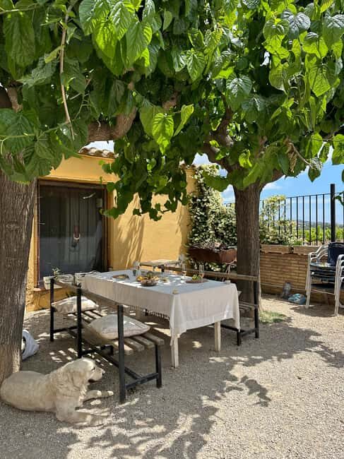 Valencia: Horseback Ride + Lunch + Hotel Pick-Up - Key Points