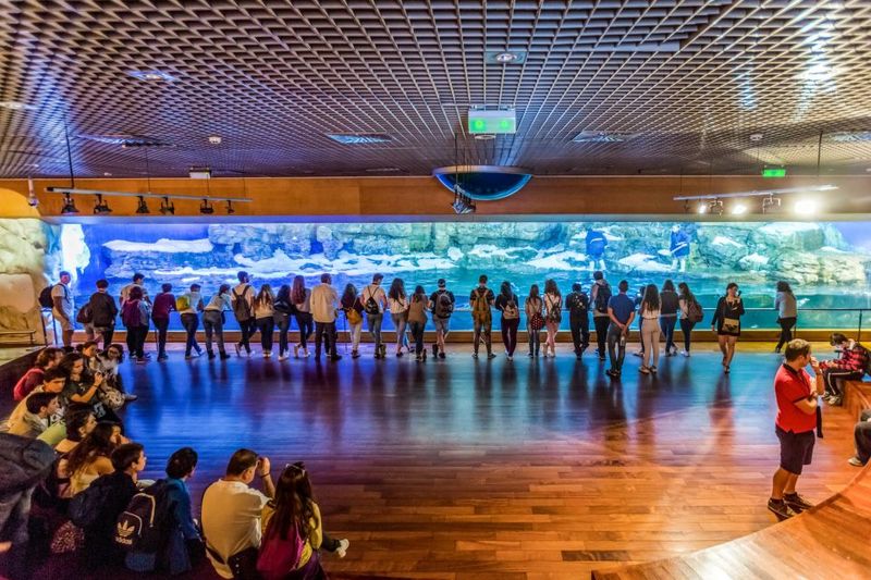 Valencia: Oceanogràfic Entry Ticket - When the crowds hit: how to keep your experience enjoyable