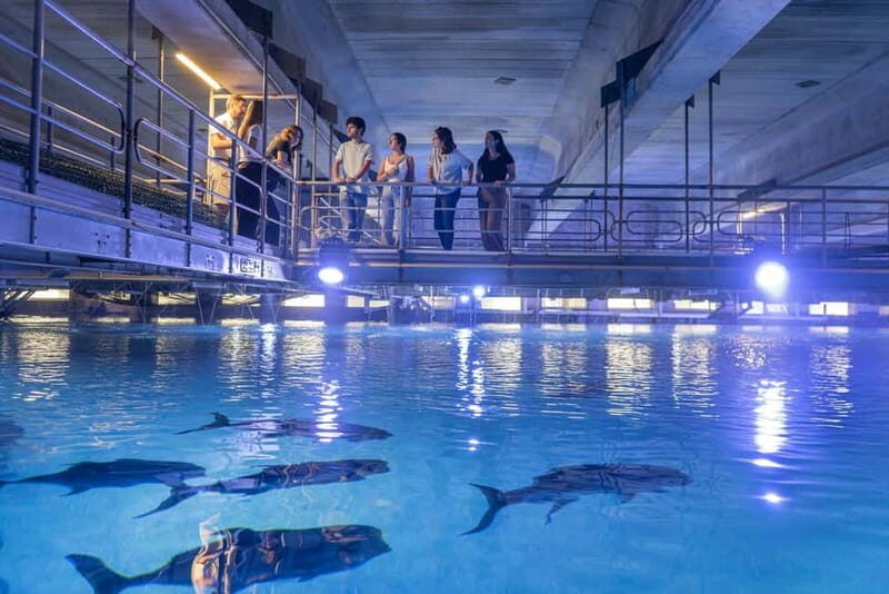 Valencia Oceanogràfic Entry with Backstage tour in Spanish - Practical Tips for Making the Most of Your Tour